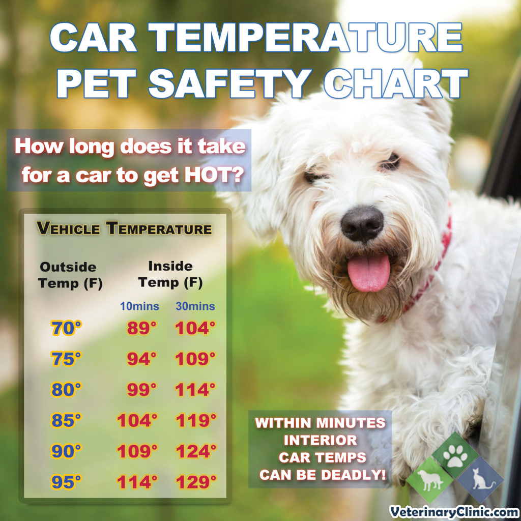 Pet Car Safety Heat
