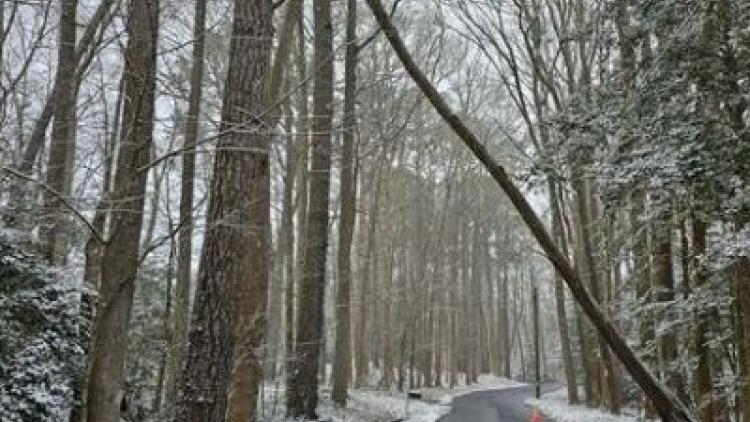 Marshall Creek Road, Newark MD