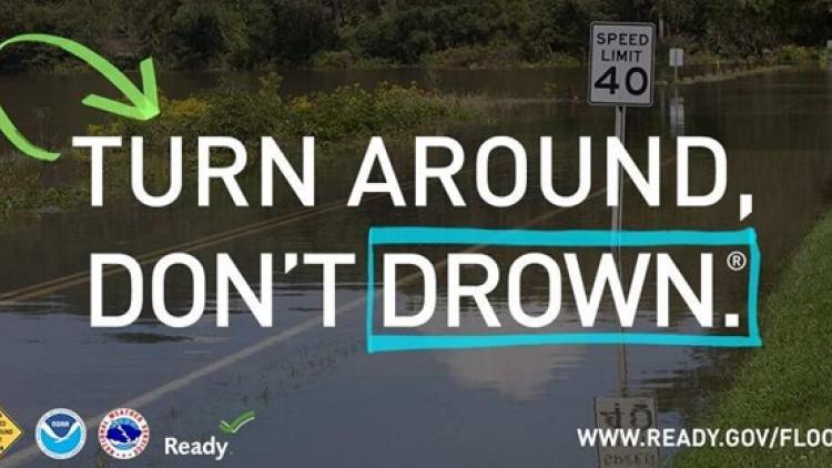 Turn Around Dont Drown